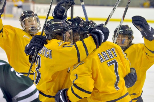 Quinnipiac 2, Dartmouth 1Quinnipiac players celebrate Ben Arnt's first-period goal in Saturday's game vs. Dartmouth.
