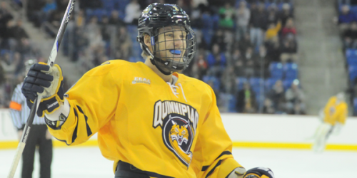 Quinnipiac men's ice hockey streak hits 14