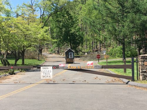Sleeping Giant closes park after tornado destruction, including an abundance of trees down or broken.