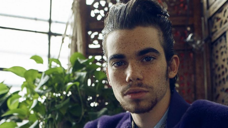 Cameron Boyce was one of the actors not included in the Oscars In Memoriam.