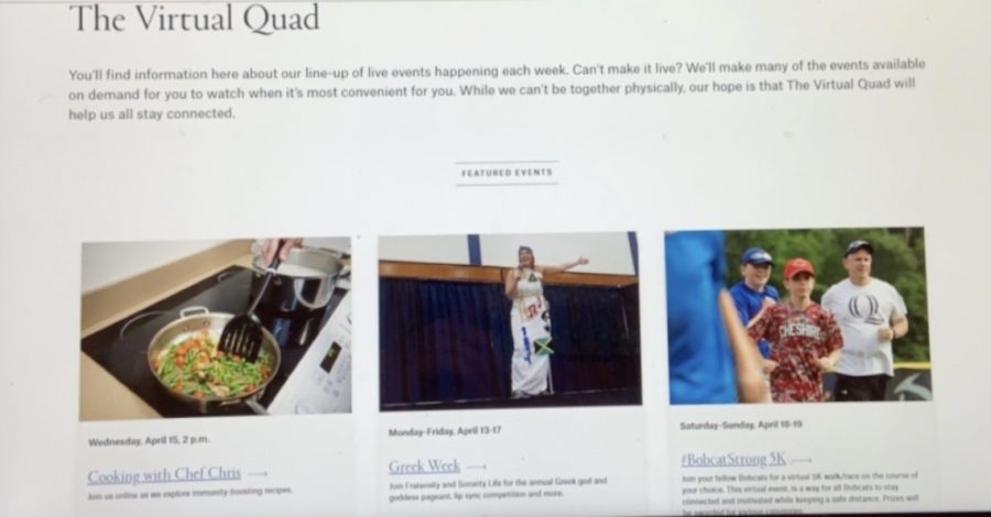 Screenshot of the virtual quad website.
