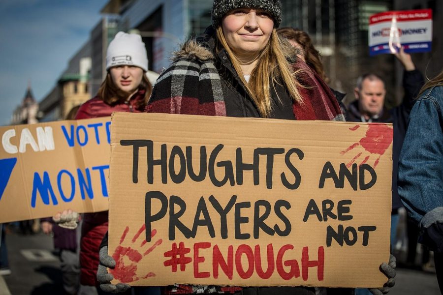 The March for Our Lives was held in response to the Parkland High School shooting where a shooter  with a history of mental illness shot 17 people.