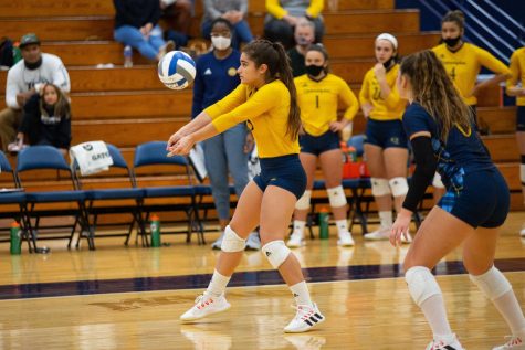 Junior outside hitter Aryanah Diaz has been the Bobcats most versatile player, as shes second on the team in kills (181), third in assists (128) and second in aces (19). Photo from