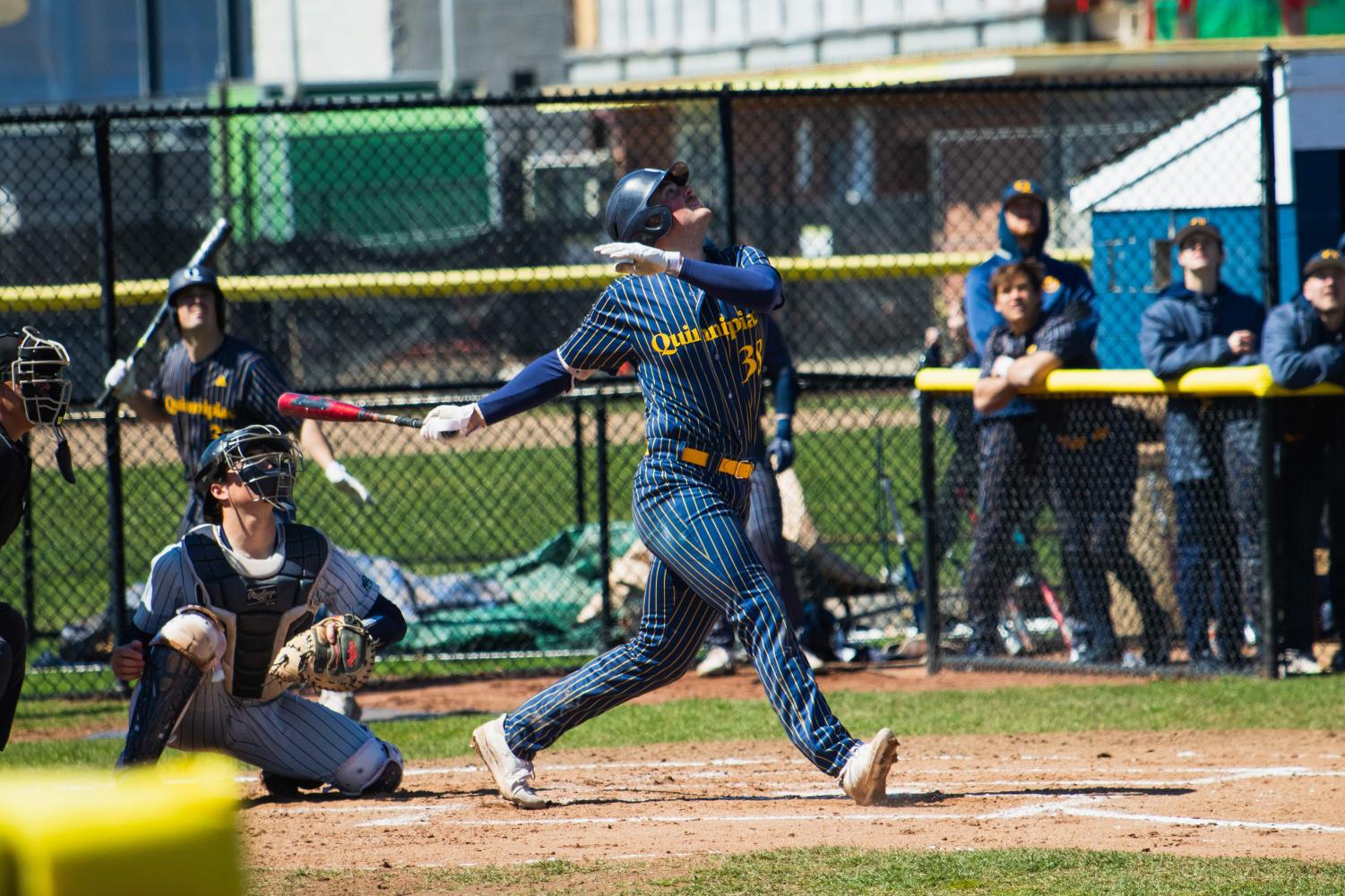 John Deluca - UMPIRE - NCAA Baseball umpire