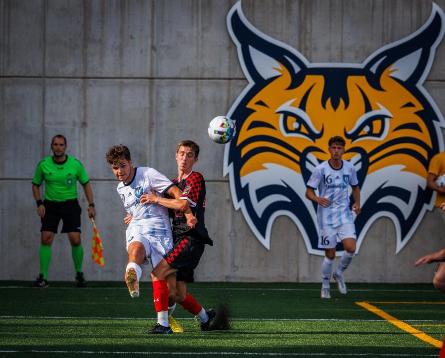Quinnipiac men’s soccer is poised for playoff run with mix of depth and old faces
