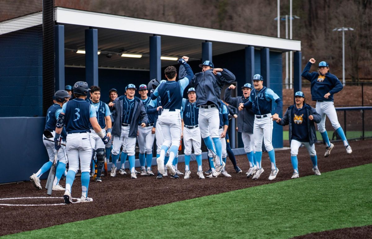 Quinnipiac celebrates after junior shortstop Dominick Proctor's solo home run in a game against NJIT.