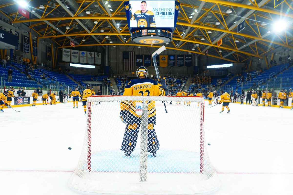 Sophomore goaltender Matej Marinov has a 2-1 record on the season, starting two games and appearing in a third.