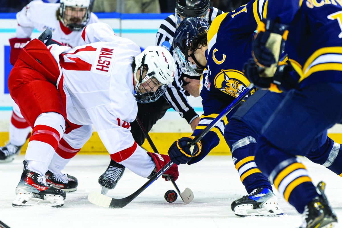 Senior forward Travis Treloar in a faceoff against Cornell Nov. 30.