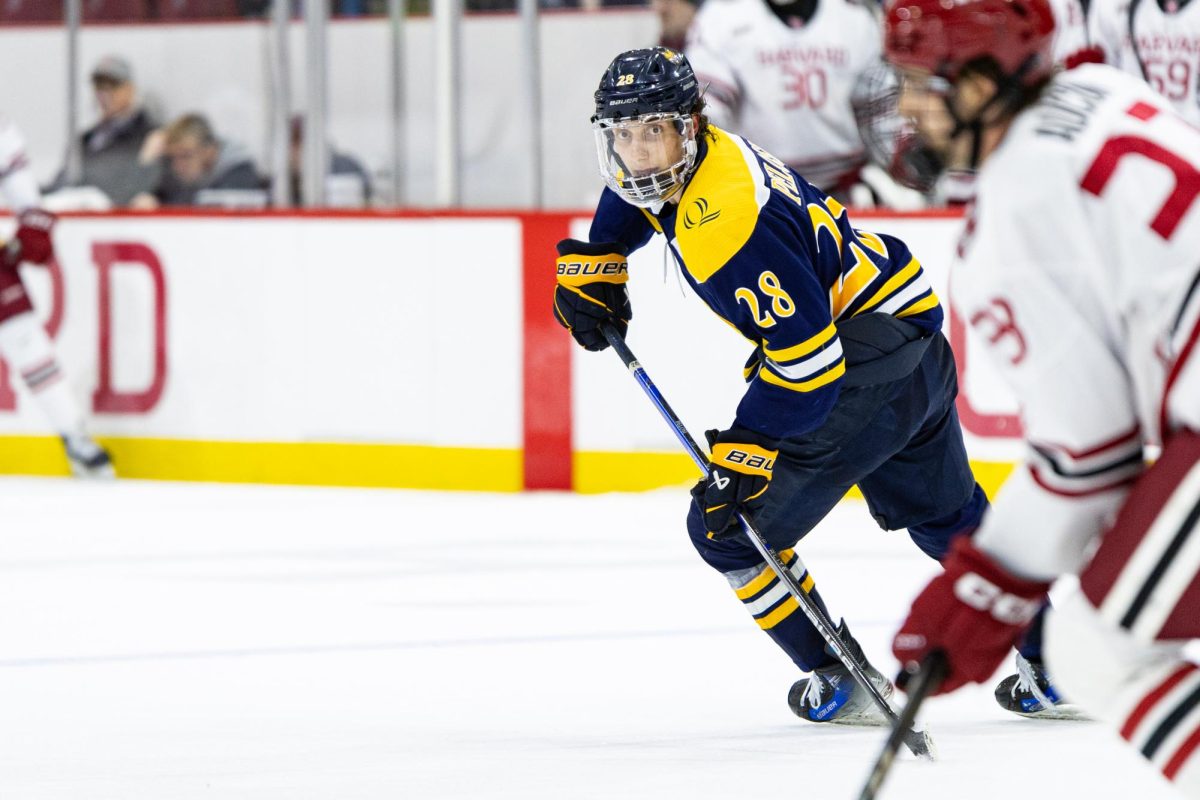 Freshman forward Chris Pelosi skates toward the puck during a game against Harvard on Jan. 2.