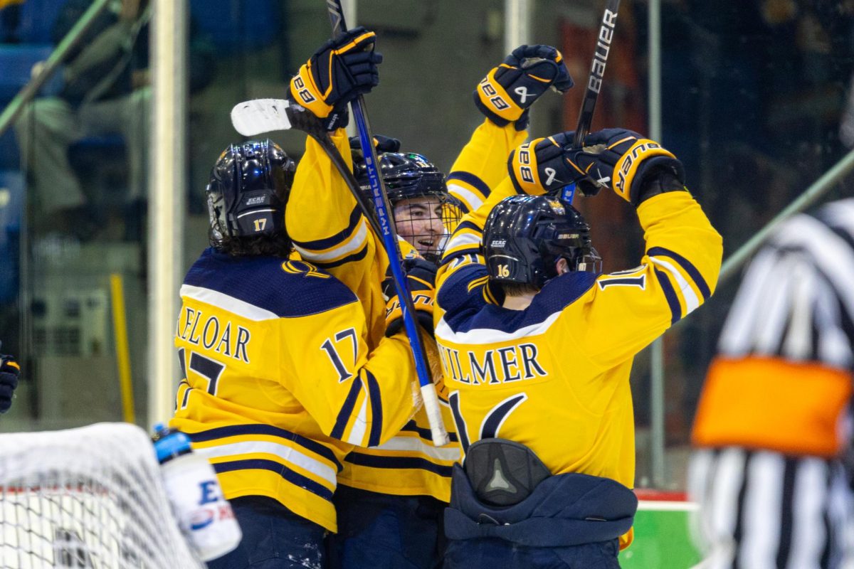 Junior forward Jeremy Wilmer makes a heart with his gloves after scoring against Yale Feb. 21.