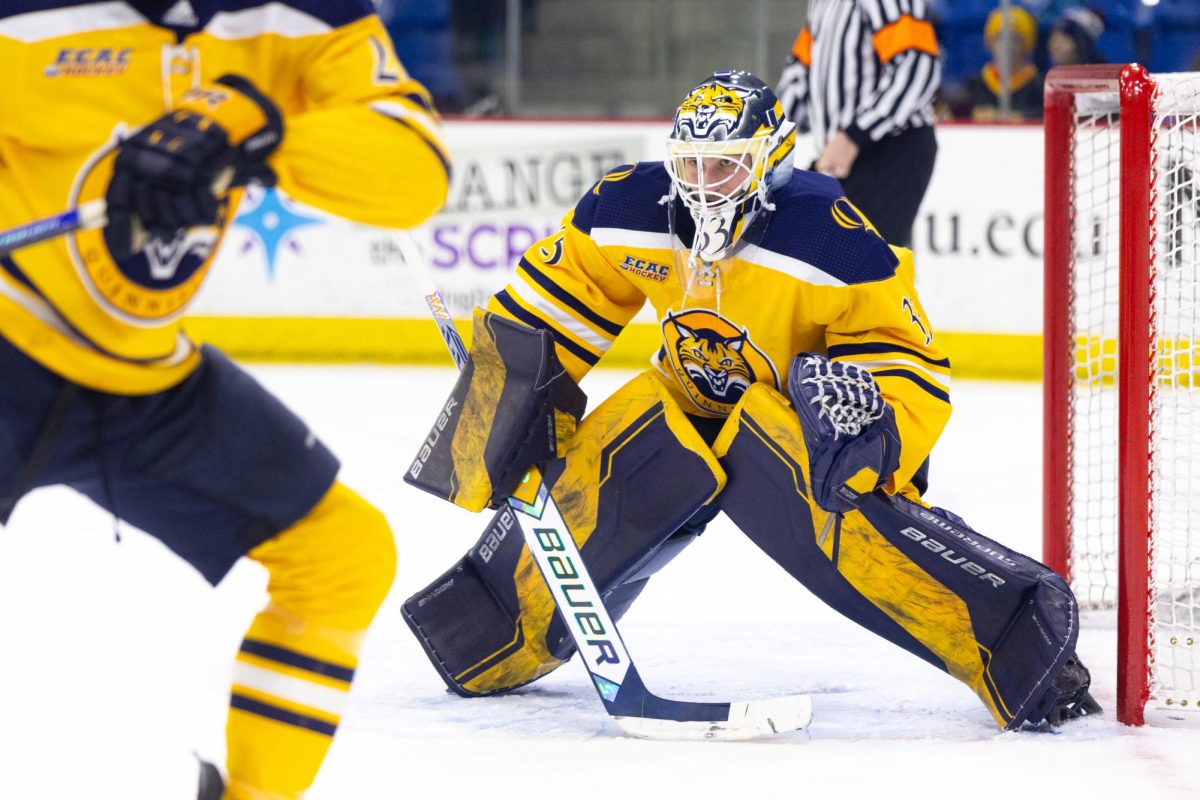 Sophomore goaltender Matej Marinov earns his fourth collegiate shutout against Brown on March 15.