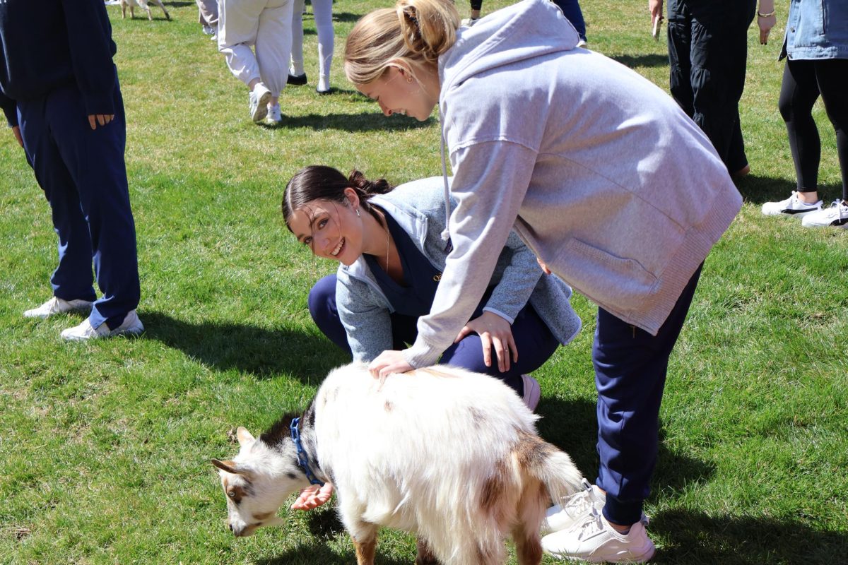 Nursing students Kelli Chesterman and Gillian Waller feed one of the goats.