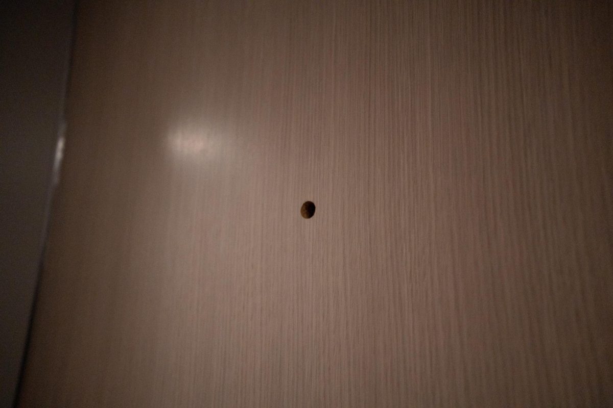 Several peepholes in The Grove were removed from doors. 