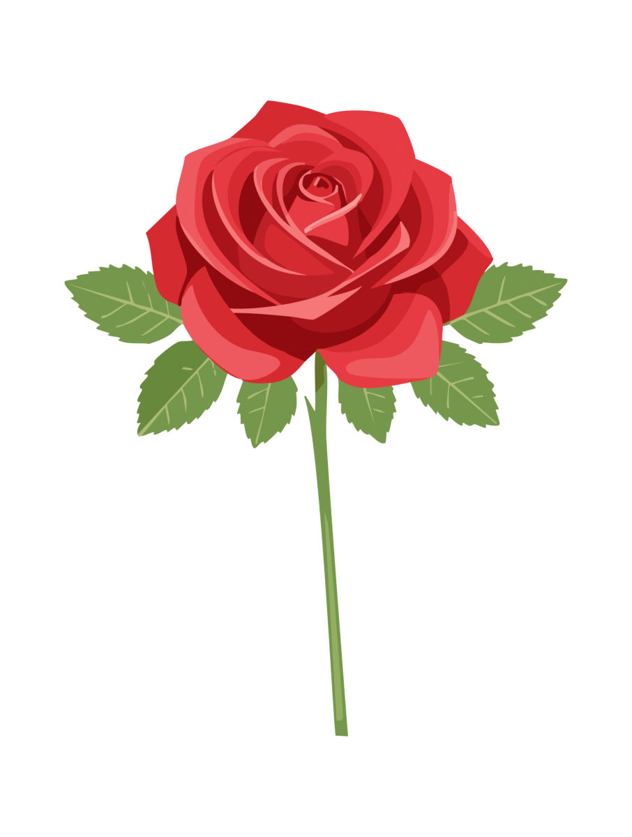 Literature creates false expectations of romance