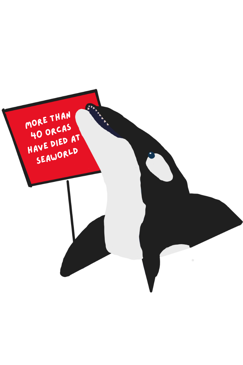 SeaWorld needs to die like its orcas
